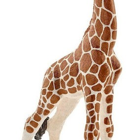 Schleich-S Παιχνίδι Μινιατούρα Wild Life Baby Giraffe για 3+ Ετών 9εκ.