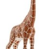 Schleich-S Παιχνίδι Μινιατούρα Wild Life Baby Giraffe για 3+ Ετών 9εκ.