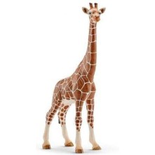 Schleich-S Παιχνίδι Μινιατούρα Wild Life Baby Giraffe για 3+ Ετών 9εκ.