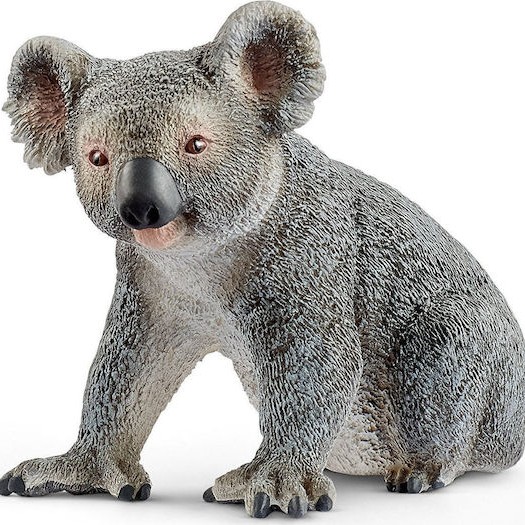 Schleich-S Παιχνίδι Μινιατούρα Wild Life Koala Bear για 3+ Ετών 8εκ.