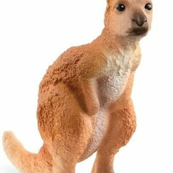 Schleich-S Παιχνίδι Μινιατούρα Wild Life Outback για 3+ Ετών