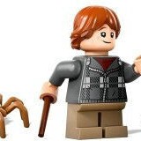 Lego Harry Potter Aragog In The Forbidden Forest για 7+ Ετών