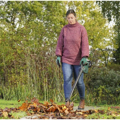 Bosch Φυσητήρας Χειρός 18V με 1 Μπαταρία 2.5Ah & Ρύθμιση Έντασης με Μέγιστη Ταχύτητα Αέρα 245km/h