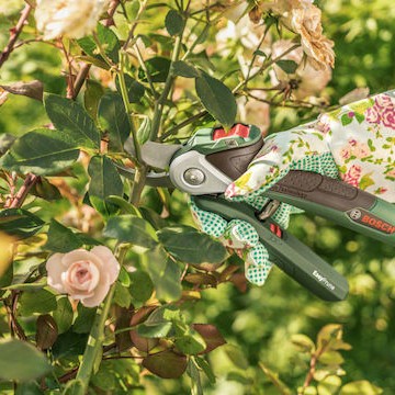 Bosch Easyprune Ψαλίδι Κλαδέματος 3.6V με 1 Μπαταρία & Μέγιστη Διάμετρο Κοπής 25mm