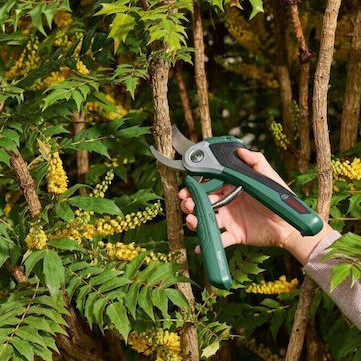 Bosch Easyprune Ψαλίδι Κλαδέματος 3.6V με 1 Μπαταρία & Μέγιστη Διάμετρο Κοπής 25mm