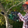 Bosch Αλυσοπρίονο Μπαταρίας Solo Brushless 36V 3.5kg με Λάμα 22.9cm