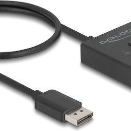 DeLock KVM & Data Switch 18906