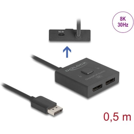 DeLock KVM & Data Switch 18906