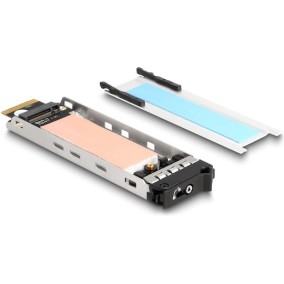 Delock 47037 Drive Bay Πίνακας Πλαίσιο Δίσκου Αποθήκευσης Μαύρος Μαύρο Μεταλλικός