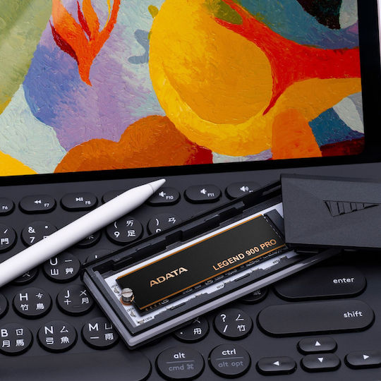 Adata Legend 900 Pro SSD 2TB M.2 NVMe PCI Express 4.0 SLEG-900P-2TCS