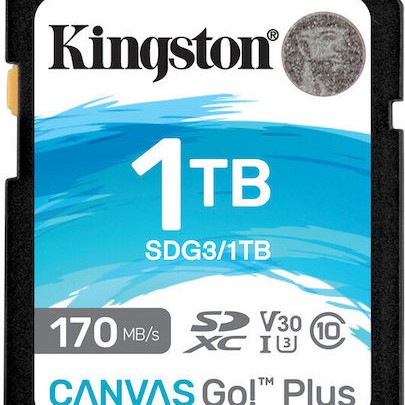 Kingston Canvas Go Plus Flash Card 1TB U3 UHS-I