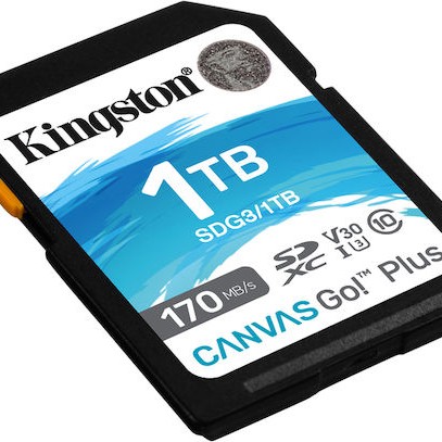 Kingston Canvas Go Plus Flash Card 1TB U3 UHS-I
