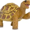 Schleich Henrietta Η Σκηνίτσα Τη Σχολή Μαγικών Ζώων