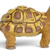 Schleich Henrietta Η Σκηνίτσα Τη Σχολή Μαγικών Ζώων
