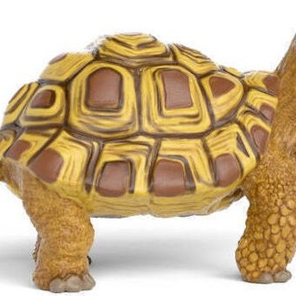 Schleich Henrietta Η Σκηνίτσα Τη Σχολή Μαγικών Ζώων