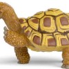 Schleich Henrietta Η Σκηνίτσα Τη Σχολή Μαγικών Ζώων