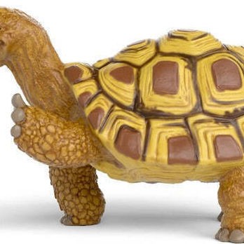 Schleich Henrietta Η Σκηνίτσα Τη Σχολή Μαγικών Ζώων