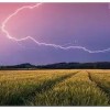 Summer Thunderstorm Puzzle 2D 500pcs